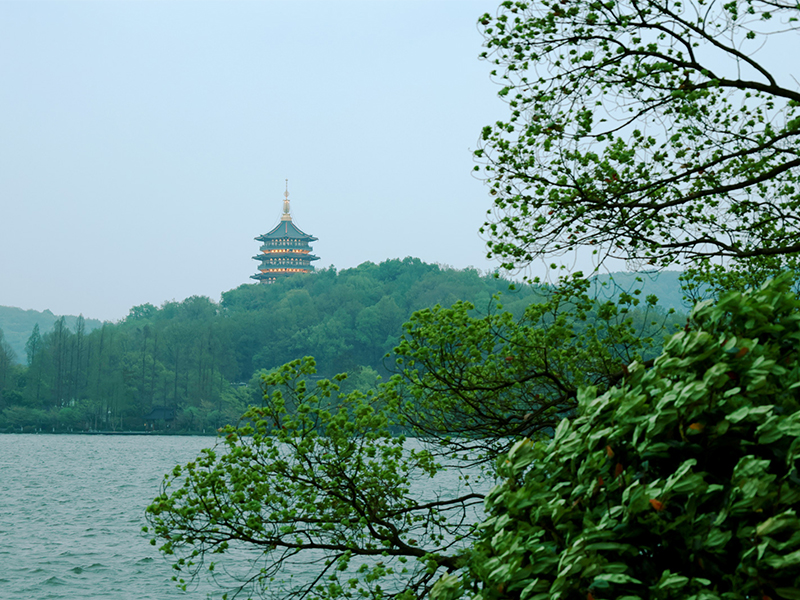 人文杭州，父母們來了！河南礦山第十三屆孝文化感恩旅游節(jié)第三站